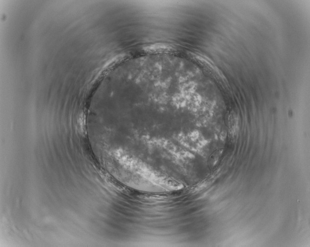 X0000087370669200705111712