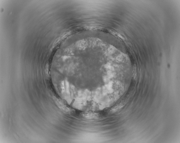 X0000087370670200705111712