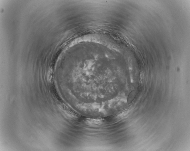 X0000087370671200705111712