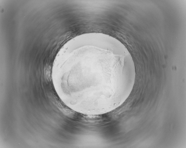 X0000087370672200705111712