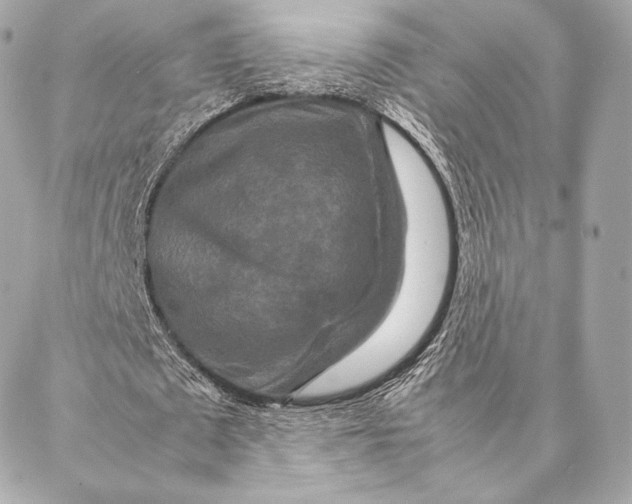 X0000087370673200705111711