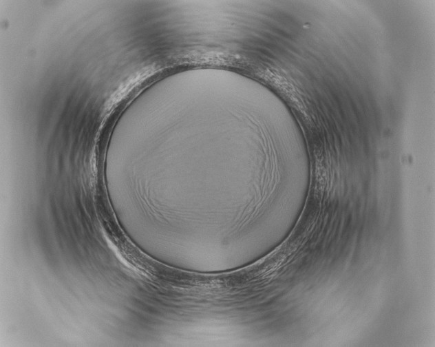 X0000087370674200705111711