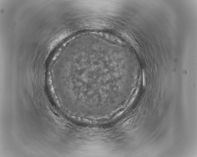 X0000087370675200705111711