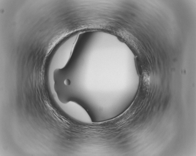 X0000087370676200705111711