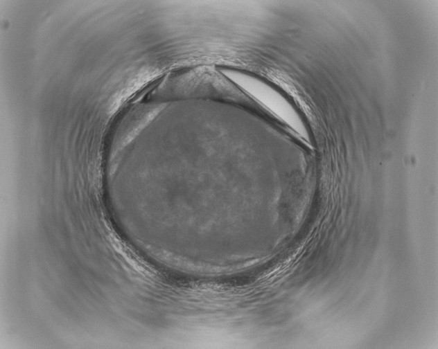 X0000087370677200705111711