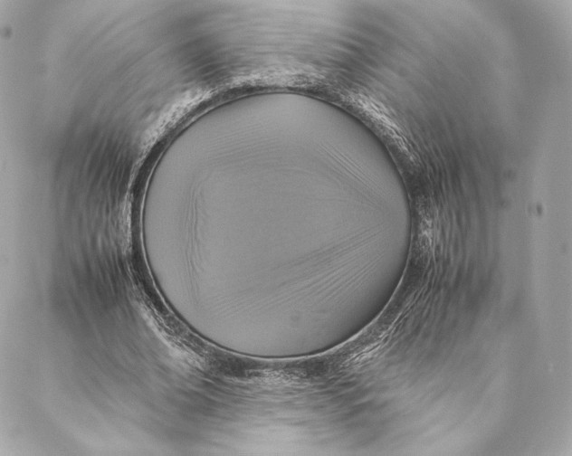 X0000087370678200705111711