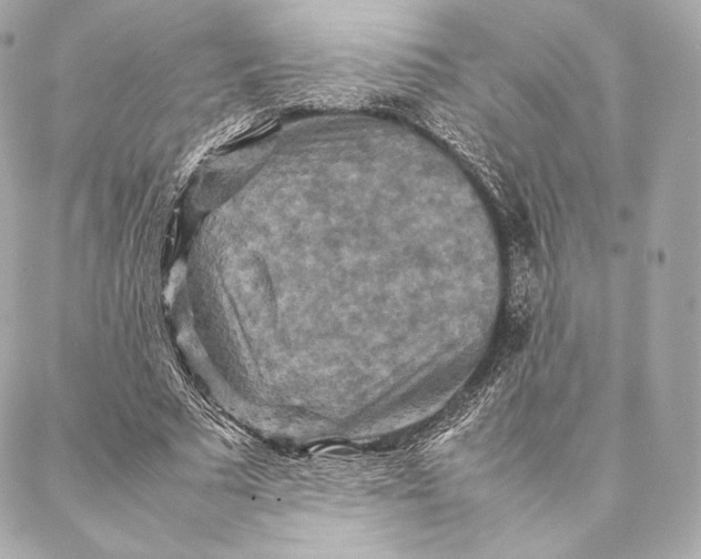 X0000087370681200705111711