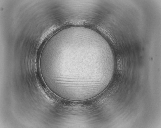 X0000087370682200705111711