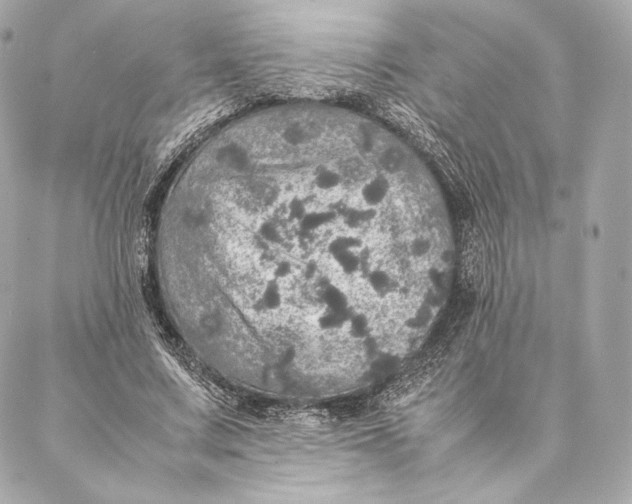 X0000087370683200705111711