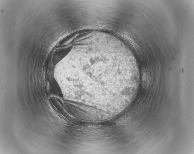 X0000087370684200705111711