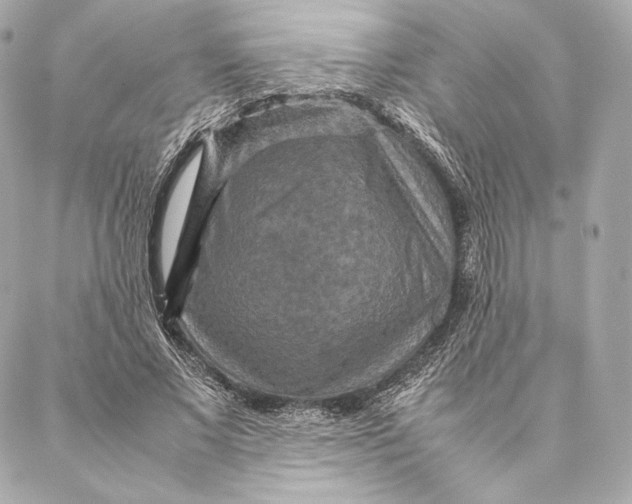 X0000087370685200705111711