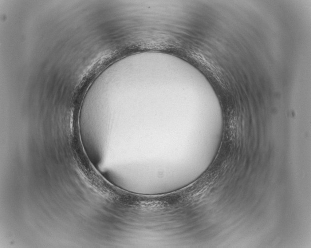 X0000087370686200705111711