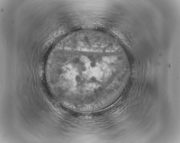 X0000087370687200705111711