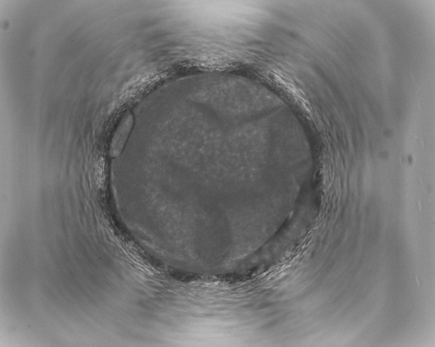 X0000087370689200705111711