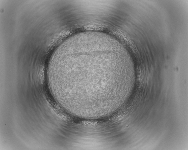 X0000087370690200705111711