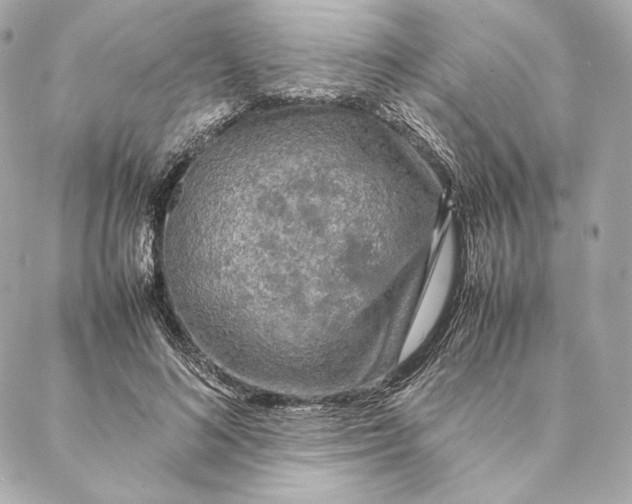 X0000087370692200705111711