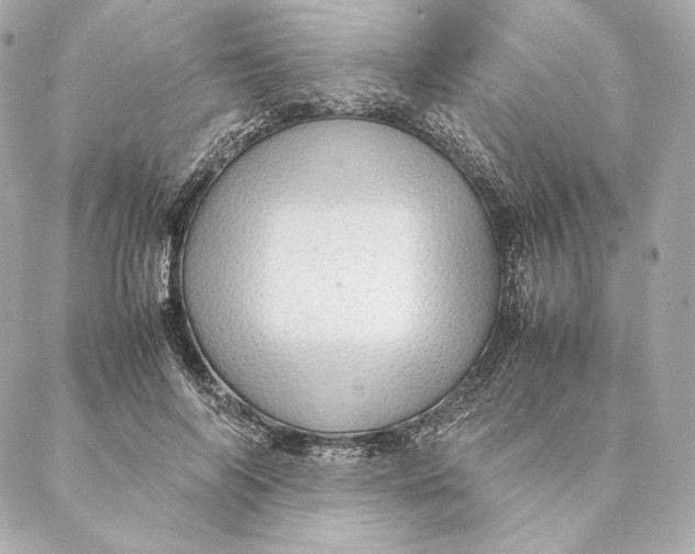 X0000087370694200705111711