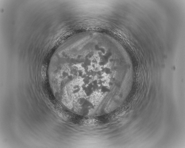 X0000087370695200705111711