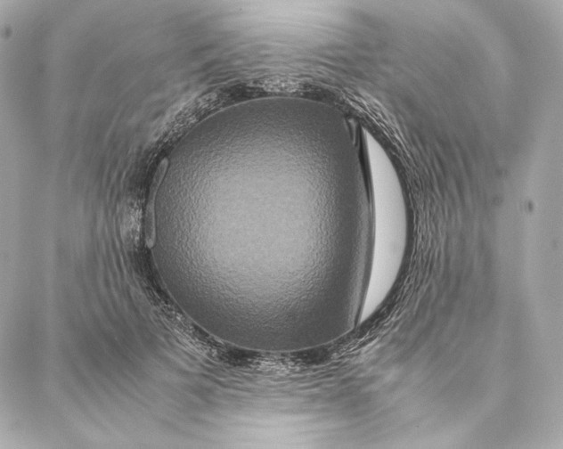 X0000087370697200705111710