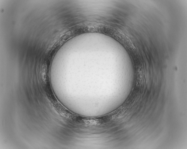 X0000087370698200705111710