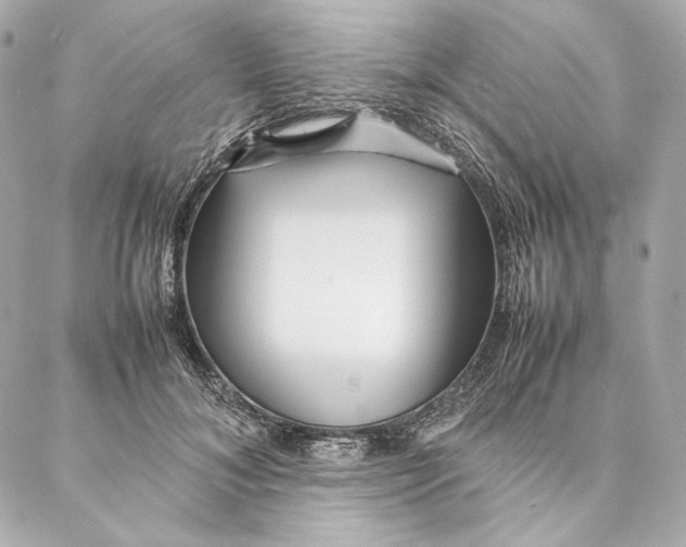 X0000087370700200705111710