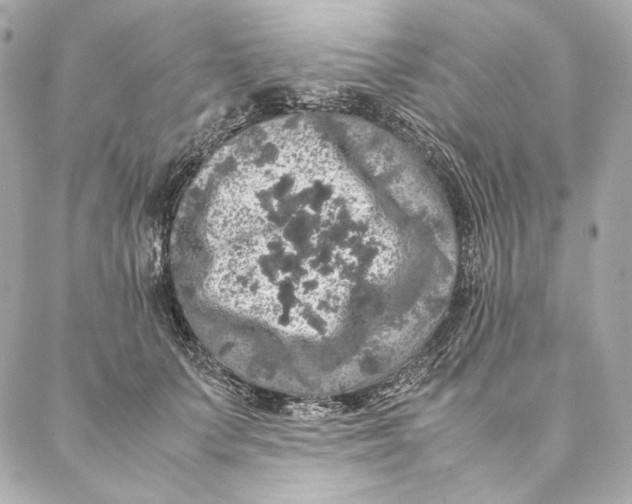 X0000087370703200705111710