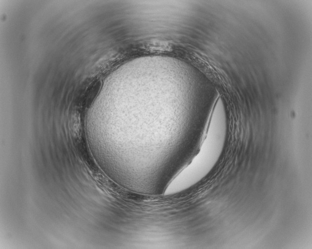 X0000087370704200705111710