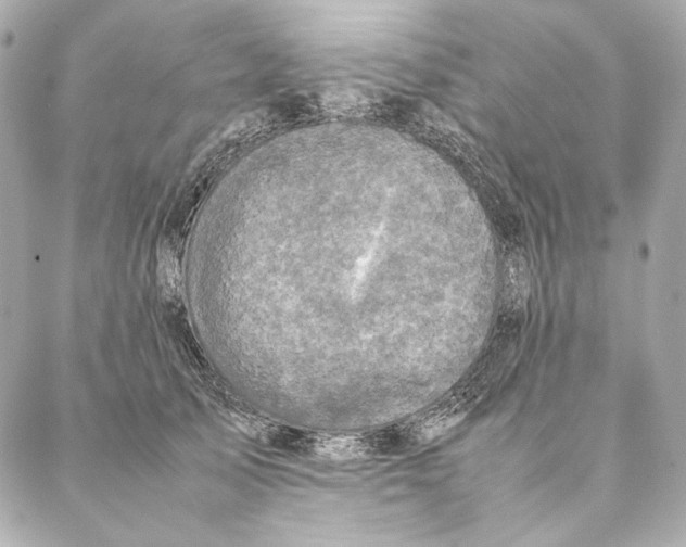 X0000087370705200705111710