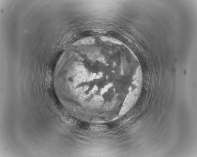 X0000087370707200705111710