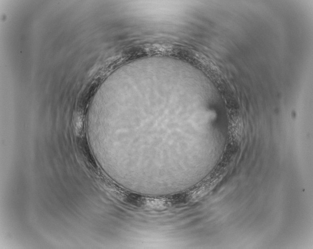 X0000087370709200705111710