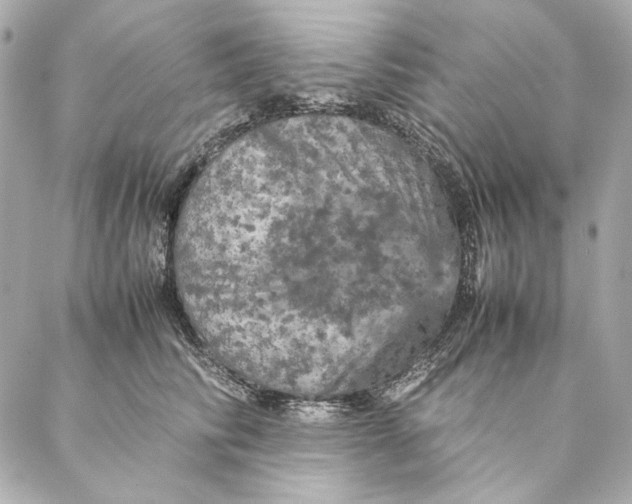 X0000087370710200705111710