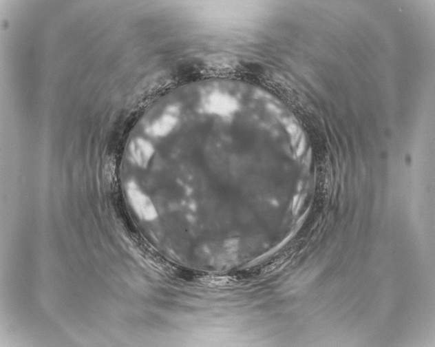 X0000087370711200705111710