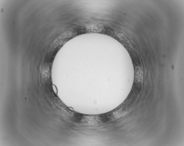 X0000087370713200705111710