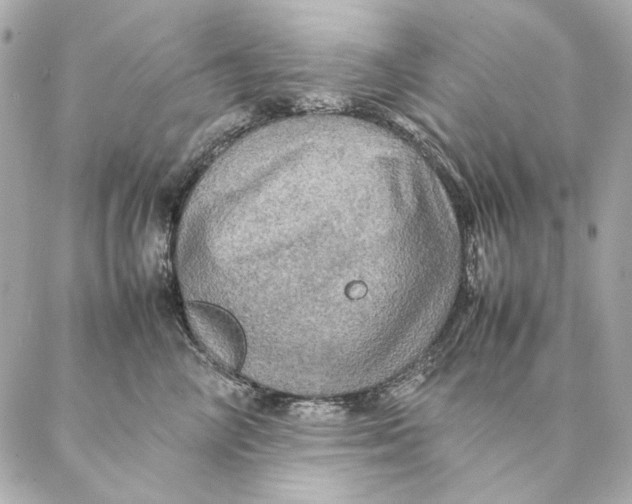 X0000087370714200705111710