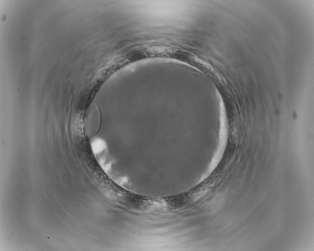 X0000087370715200705111710