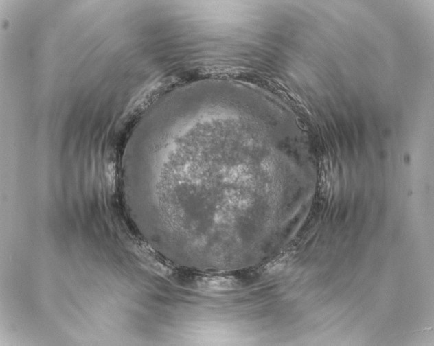 X0000087370716200705111710