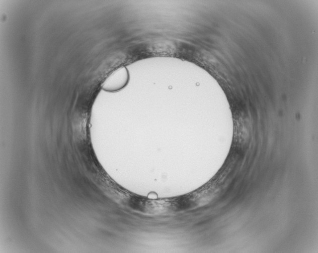 X0000087370717200705111710