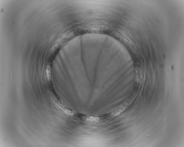 X0000087370718200705111710