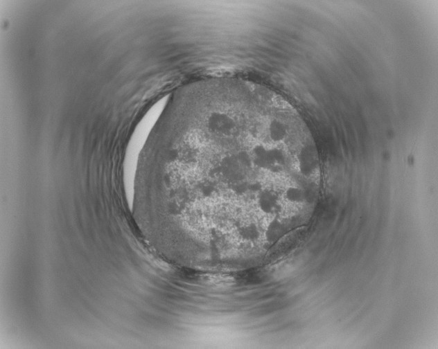 X0000087370719200705111710