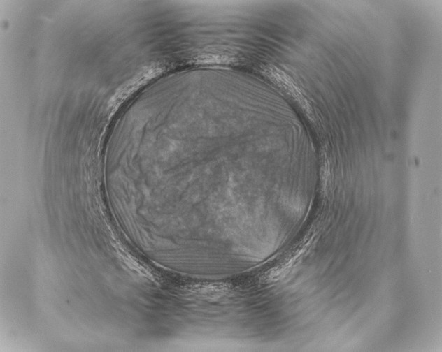 X0000087370721200705111709