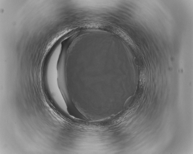 X0000087370722200705111709