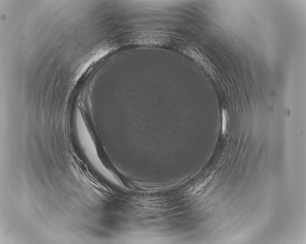 X0000087370723200705111709