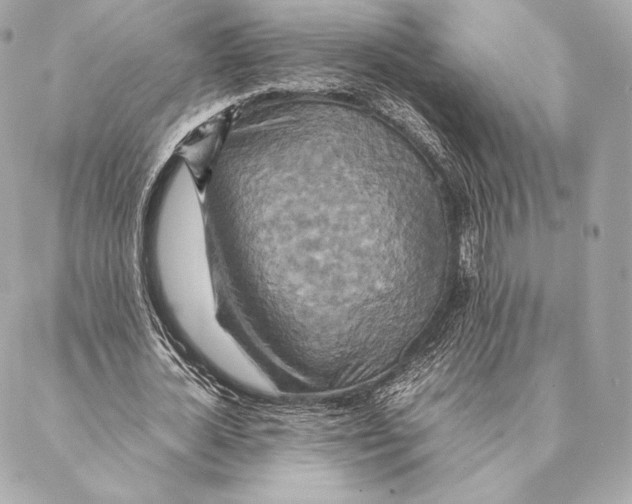 X0000087370724200705111709