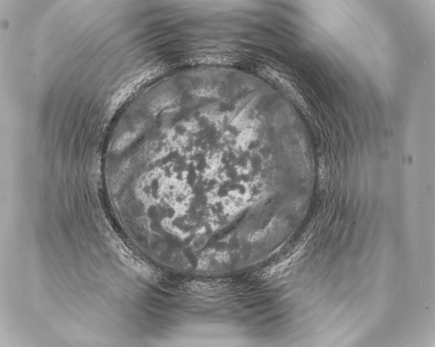 X0000087370725200705111709