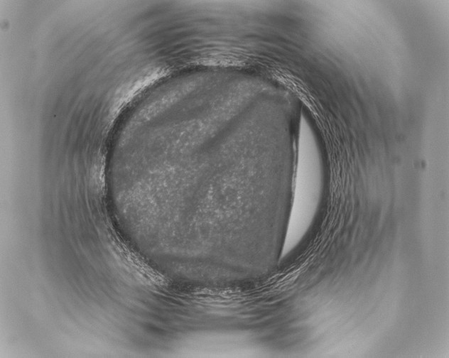 X0000087370727200705111709