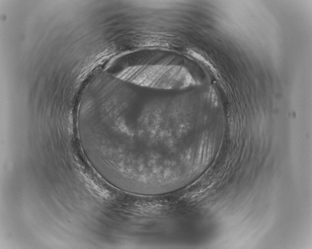 X0000087370729200705111709