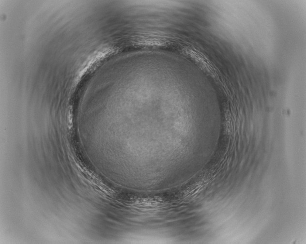 X0000087370731200705111709