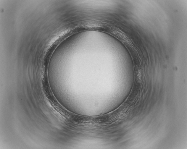 X0000087370732200705111709