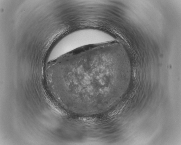 X0000087370733200705111709