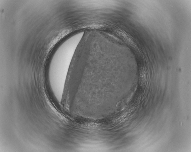 X0000087370734200705111710